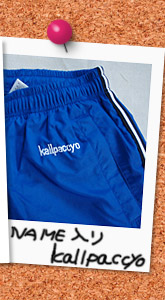 �E�C���h�u���[�J�[�@�p���c