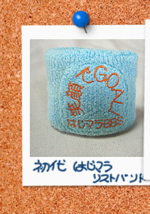 �Ί��GOAL!�@����͂��}�����X�g�o���h